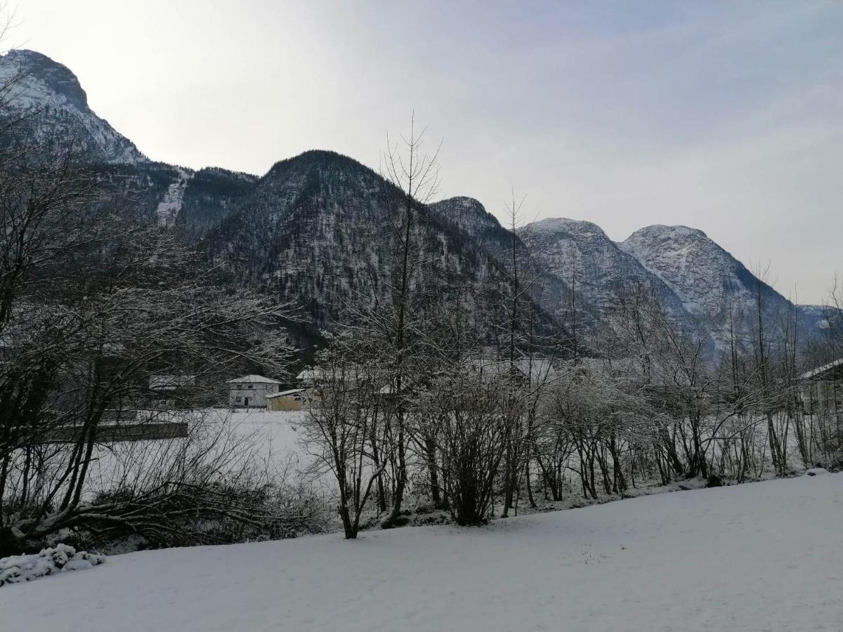 Apartma Angi Apartment Obertraun Luaran gambar